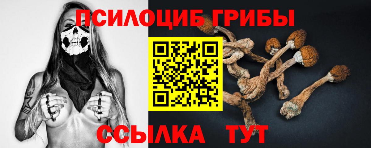 Элиста  Галлюциногенные грибы прущие грибы  Вход с VPN  дарнет шоп  Псилоцибиновые грибы Cubensis 