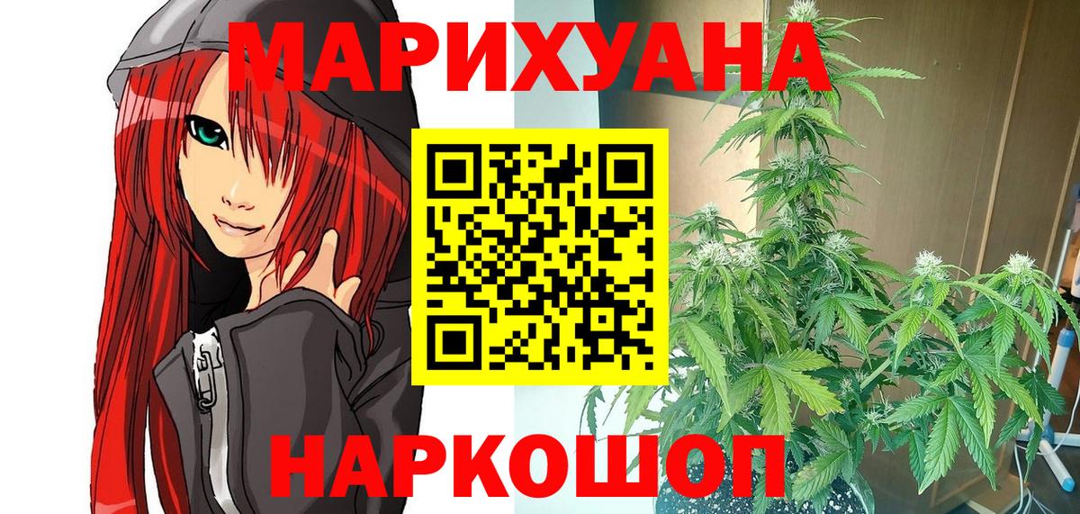 Конопля сатива Элиста
